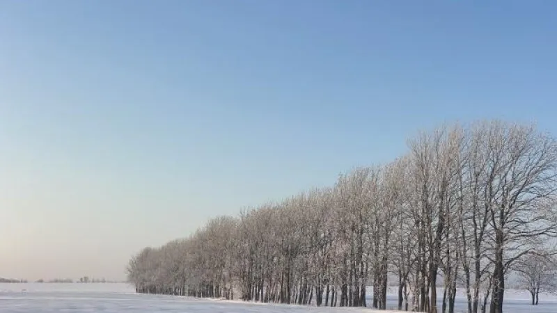 北海道で冬ならではの景色が観られるスポット9選