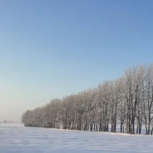 9 places in Hokkaido where you can see unique winter scenery
