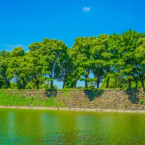 【东京】与家人一起游览东京时首先要考虑的 8 个推荐景点。