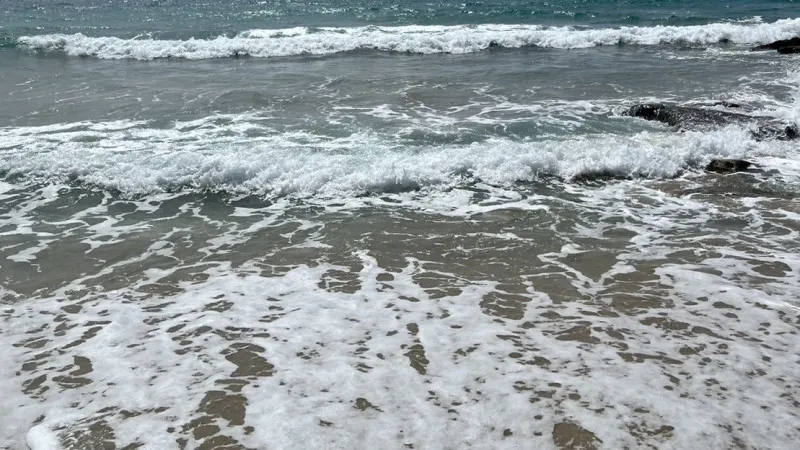 【鹿児島】2泊3日東洋のガラパゴス旅～奄美大島～