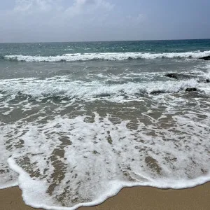 [Kagoshima ]3 days 2 nights trip to Galapagos of the Orient - Amami Oshima