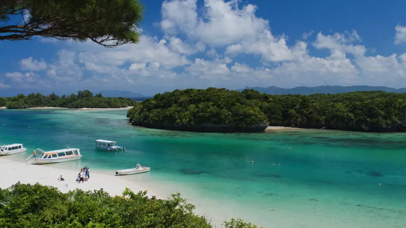 [Okinawa ]5 excellent gourmet foods to eat in Ishigaki Island!