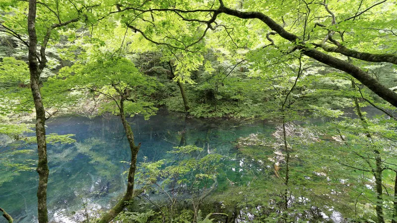 7 Anime Sanctuaries in Akita Prefecture! Relaxed atmosphere and calm pilgrimage to holy sites in Tohoku!