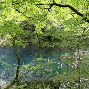 7 Anime Sanctuaries in Akita Prefecture! Relaxed atmosphere and calm pilgrimage to holy sites in Tohoku!