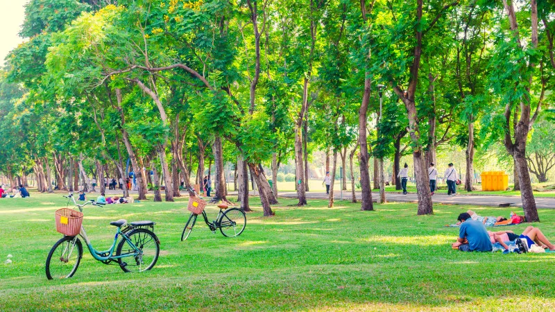 [Kochi ]Recommended for girls! 4 special gardens and parks in Kochi