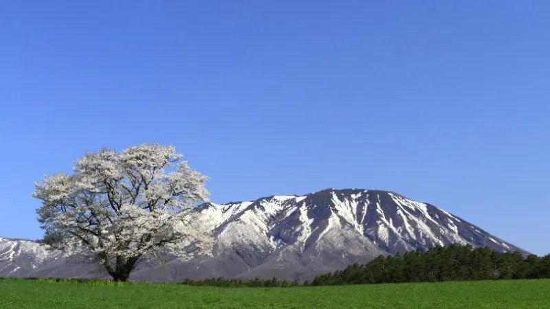 [Iwate Prefecture ]Recharge your batteries with nature, shrines and temples! 10 recommended power spots