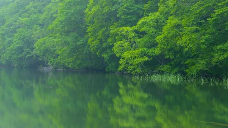 [Aomori ]Recharge your batteries at shrines and nature! 10 recommended power spots