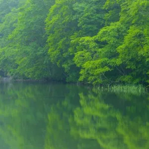 【青森】在神社和大自然中补充能量！推荐 10 个补充能量的地方
