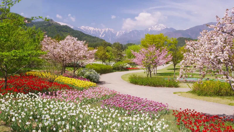 [Shizuoka ]You can easily visit and enjoy! 4 recommended gardens and parks