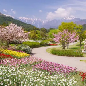 [Shizuoka ]You can easily visit and enjoy! 4 recommended gardens and parks