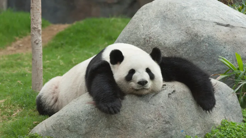 東京にあるおすすめ動物園7選！デートから家族でのお出かけにまでぴったり