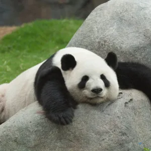 東京にあるおすすめ動物園7選！デートから家族でのお出かけにまでぴったり