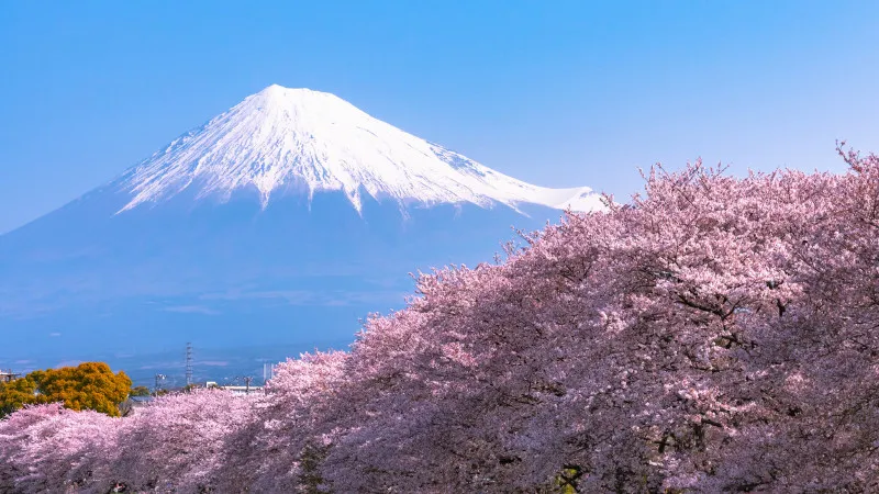 [Shizuoka ]4 recommendations for touring artistic and attractive buildings