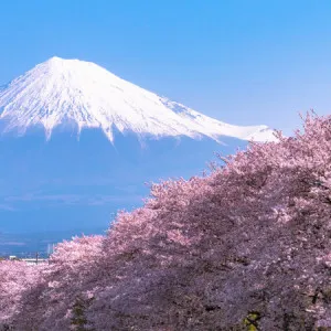 [Shizuoka ]4 recommendations for touring artistic and attractive buildings