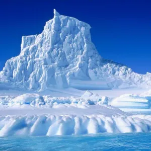 Introducing Miyagi's extremely cold spot, the Ice Aquarium!