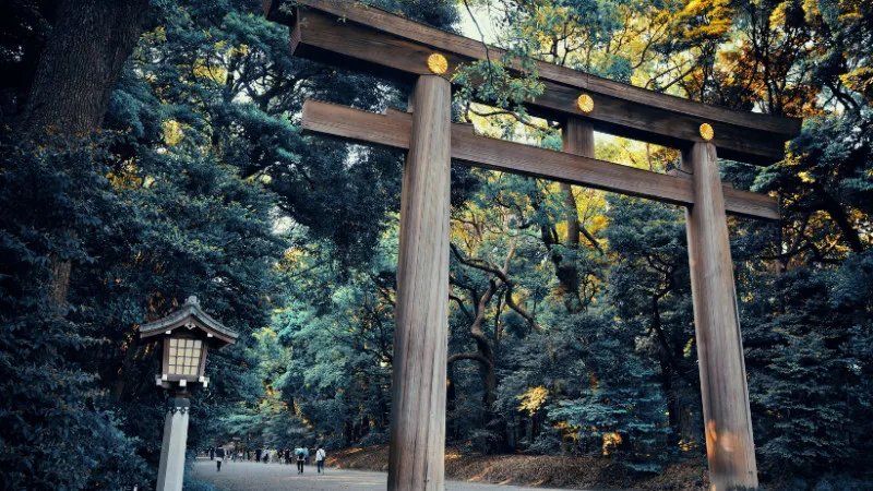 一度は行きたい世界遺産の寺社仏閣おすすめ10選