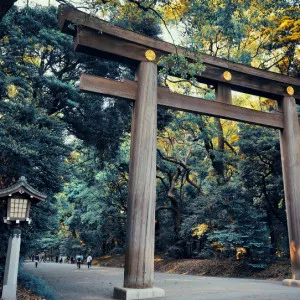 一度は行きたい世界遺産の寺社仏閣おすすめ10選