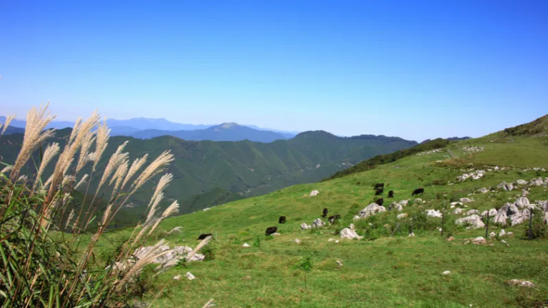 Here are some recommended driving spots in Ehime Prefecture.