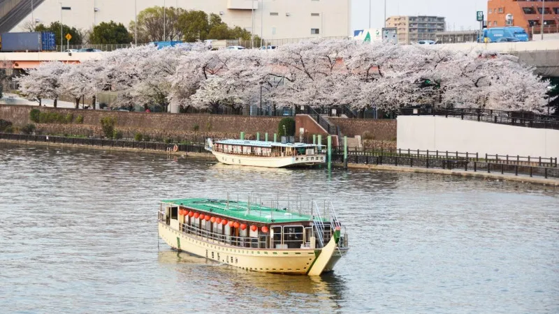 【東京】墨田区で早春に人気の桜のお花見スポット3選