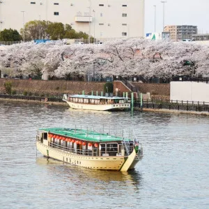 【東京】墨田区で早春に人気の桜のお花見スポット3選
