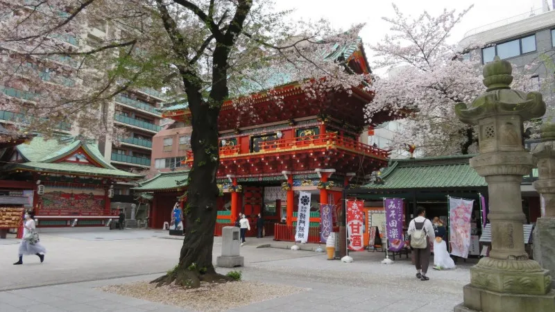 【東京】江戸城跡を中心に広がる千代田区で早春に人気の桜のお花見スポット
