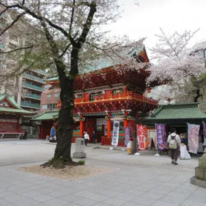 【東京】江戸城跡を中心に広がる千代田区で早春に人気の桜のお花見スポット