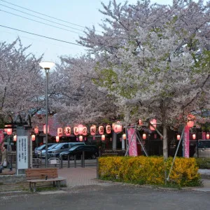 【東京】ソメイヨシノが誕生した豊島区で早春に人気の桜のお花見スポット8選