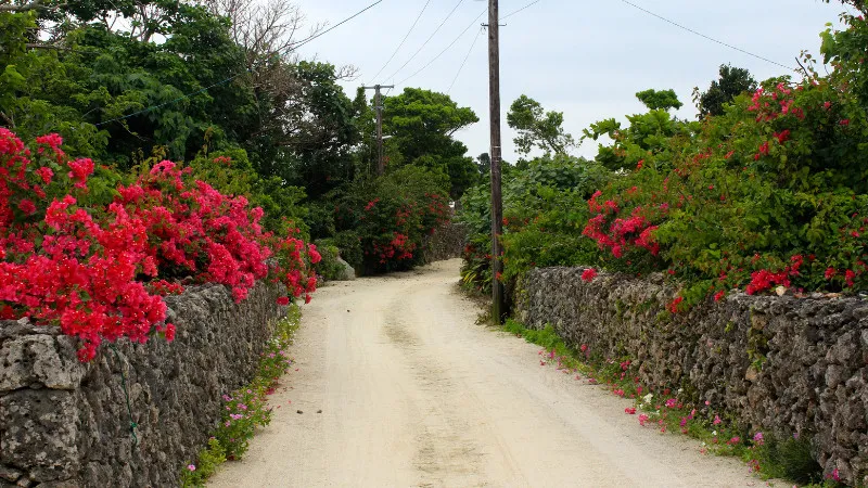 Spectacular ocean views! 10 Popular Cafes in Okinawa