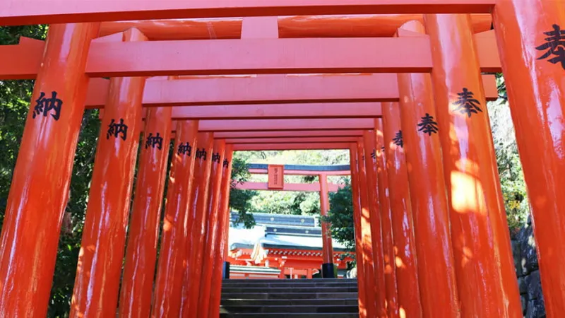Miyazaki
