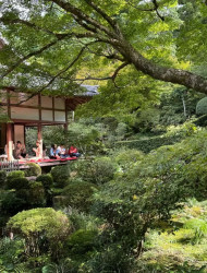 Kyoto: Scenic Day Trip to Ohara and Sanzen-in Temple