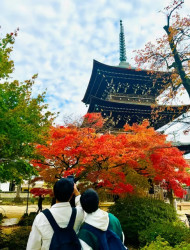 Takayama Private Custom Walking Tour
