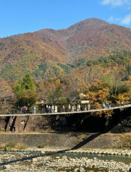 From Takayama: Shirakawa-go Day Trip with Bus Tickets