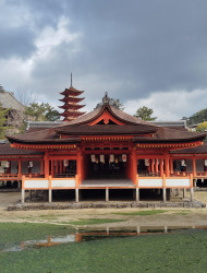 Hiroshima: Itsukushima Shrine and Miyajima Summit Tour
