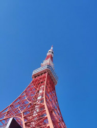 Tokyo: Tokyo Tower Guided Tour - Top Deck Views