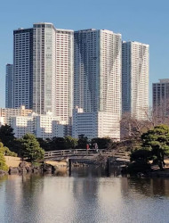 Tokyo: Kiyosumi, Hama-Rikyu, and Kyu-Yasuda Garden Tour