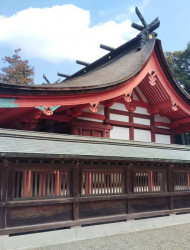 Fukuoka: Munakata Taisha Shrine Guided Tour – UNESCO Site