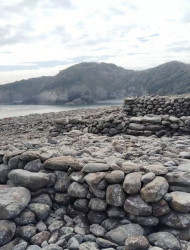 Ainoshima Island Tour: Cats, History & Nature from Hakata