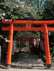 Dazaifu: Guided Tour of Ancient Capital's Historic Sites
