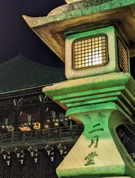 Nara: Night Walking Guided Tour - Beauty in a Peaceful Night
