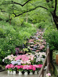 Nara: Explore Hasedera’s Giant Kannon and Cliffside Temple