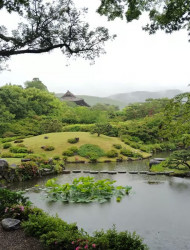 Nara: Isuien Garden Tour with Matcha Tea Experience