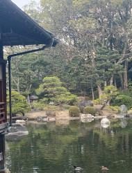 Hakata Serenity Tour: Temples, Gardens & River Cruise