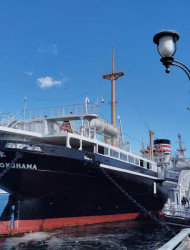 Yokohama: Hikawa Maru Museum Guided Tour