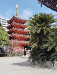 Fukuoka: Hakata Old Town Guided Walking Tour