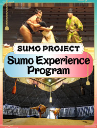 SUMO PROJECT - Sumo Experience Program