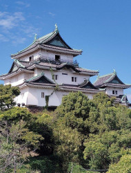 Wakayama: Tokugawa Castle That Guarded the Southern Coast