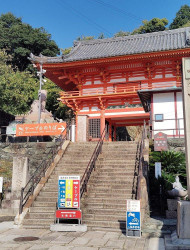 Wakayama: Discover the Sacred Beauty of Kimiidera