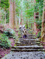 Wakayama: Walk Daimon-zaka to Nachi’s Sacred Sites