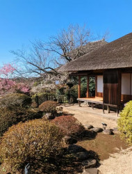 Ibaraki: Kairakuen, One of Japan’s Three Great Gardens