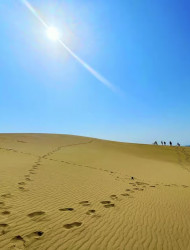 Tottori: Guided Walk through the Tottori Sand Dunes